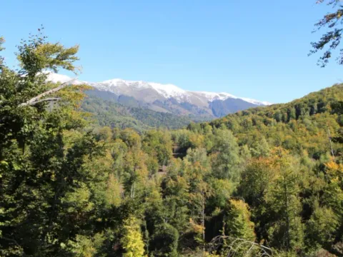 Sale, land lot, 89208m², Padež, Kolašin - image 13