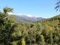 Sale, land lot, 89208m², Padež, Kolašin - image 13