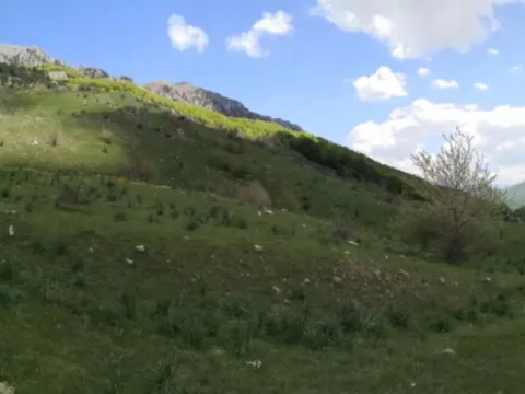 Prodaja, plac, 32013m², Gornje Lipovo, Kolašin - image 6