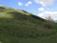 Prodaja,  zemljište, 32013m2, Gornje Lipovo, Kolašin