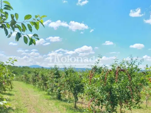 Prodaja, plac, 10200m², Sopot, Beograd - image 2