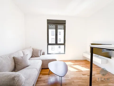 Rent, studio apartment, 21m², Tološi, Podgorica - image 3