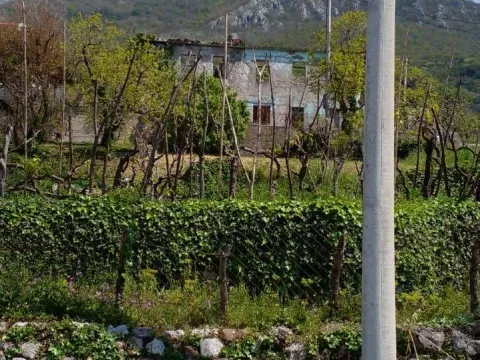 Prodaja, plac, 1550m², Zaljevo, Bar - image 10