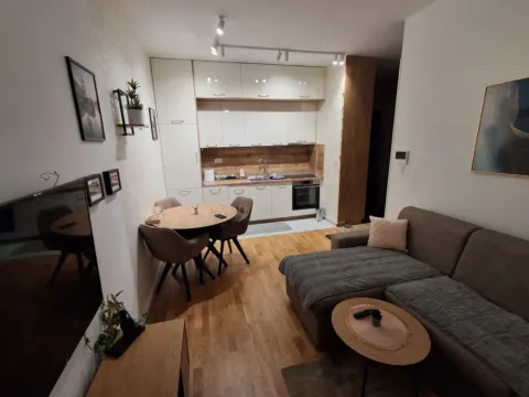 Rent, one bedroom apartment, 42m², Tološi, Podgorica