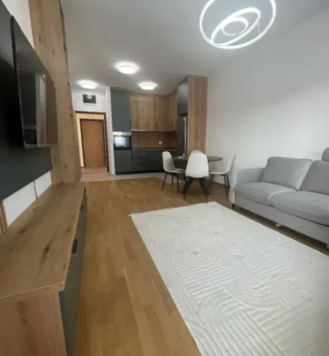 Izdavanje, jednosoban stan, 48m², Stari Aerodrom, Podgorica