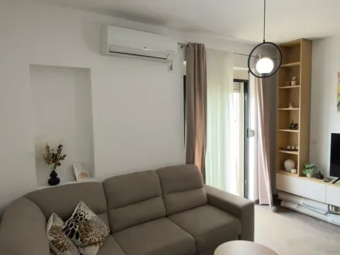 Rent, one bedroom apartment, 47m², Zabjelo, Podgorica - image 9