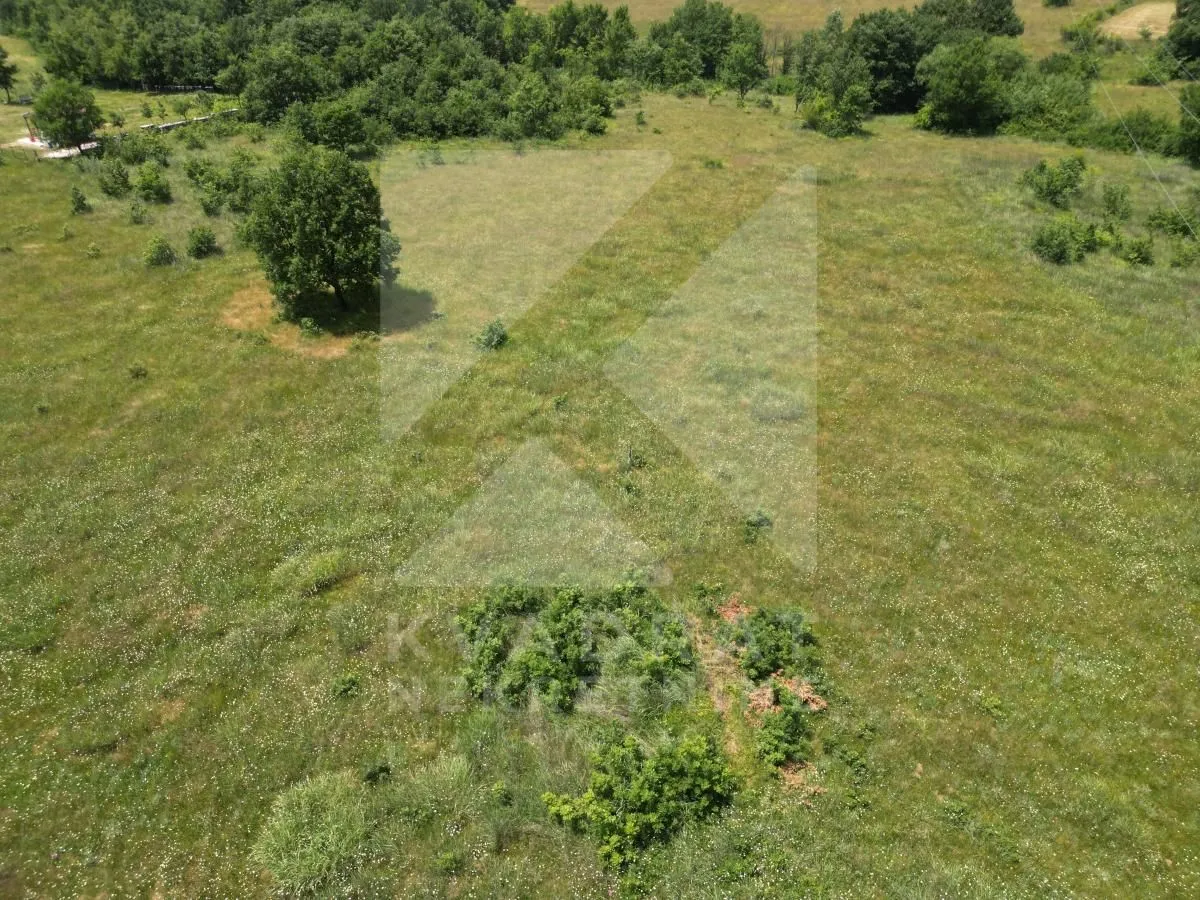 Prodaja, plac, 13849m², Pričelje, Podgorica