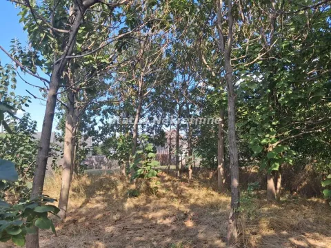 Pogled na dvorište puno drveća i rastinja. - image 13