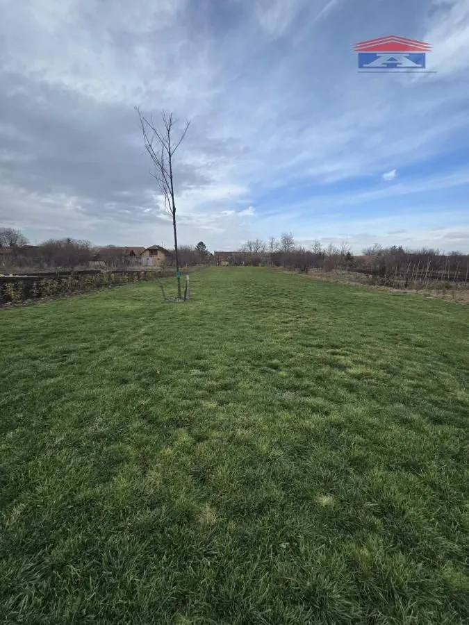 Prodaja, plac, 3244m², Bački Petrovac, Novi Sad