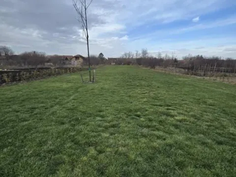 Prodaja, plac, Bački Petrovac, Novi Sad - image 2