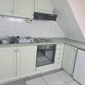 Izdavanje, poslovni prostor, 400m², Zemun Sve Podlokacije, Beograd - image 6