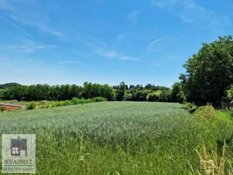 Prodaja, plac, 3500m², Jasenak, Obrenovac - image 3
