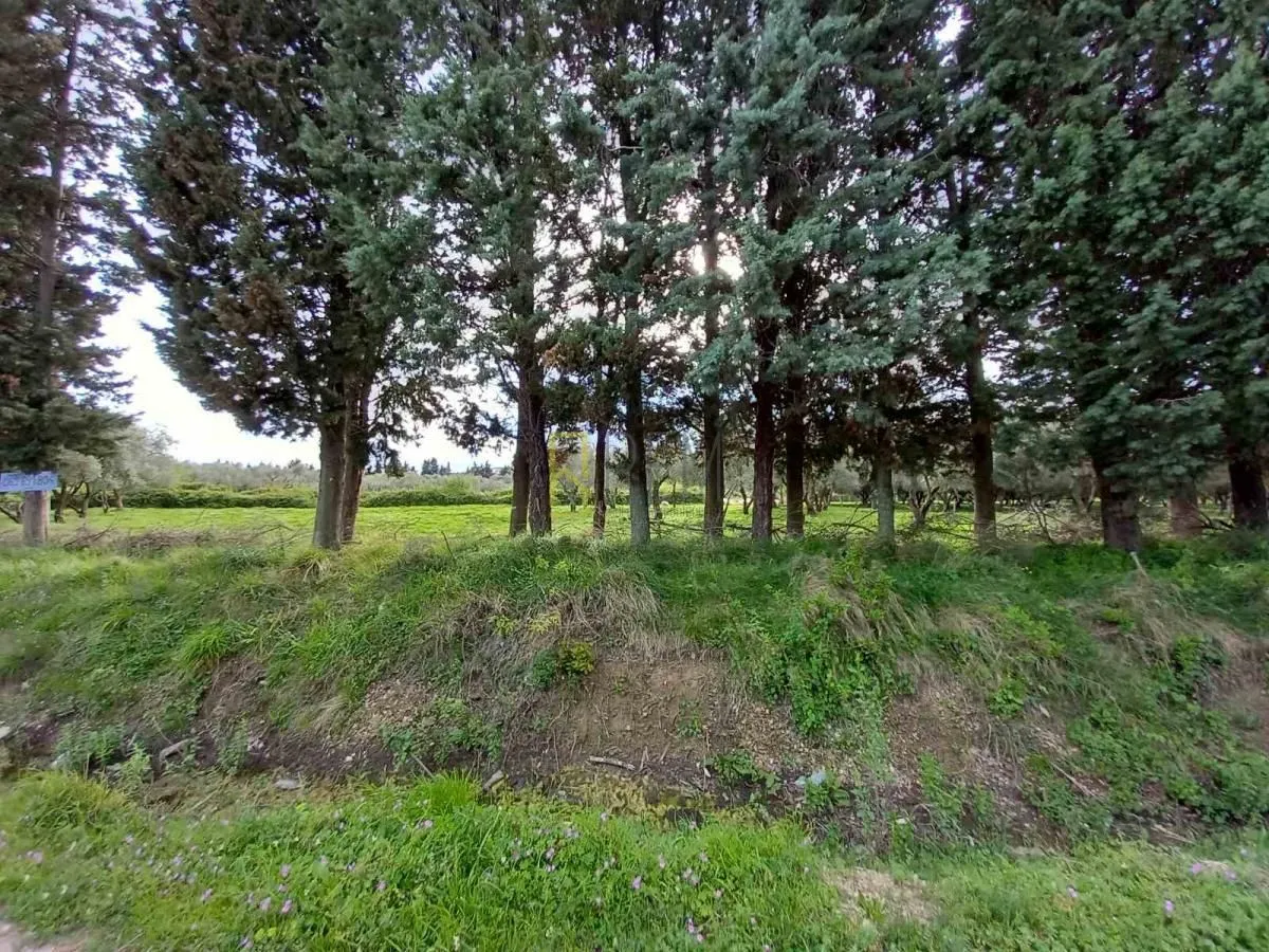 Prodaja, plac, 1113m², Ulcinj, Crna Gora