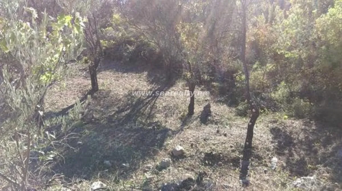 Prodaja, plac, 400m², Reževići, Budva