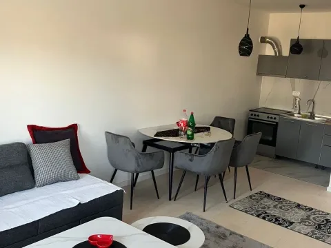 Izdavanje, jednosoban stan, 43m², Zabjelo, Podgorica - image 4