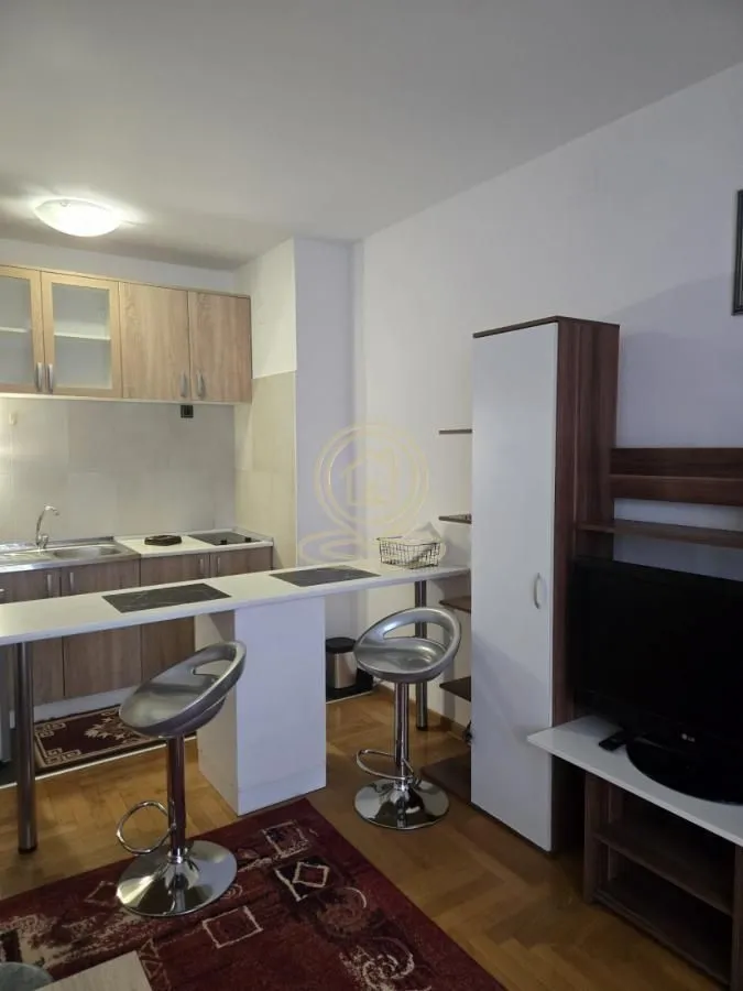 Izdavanje, jednosoban stan, 30m², Adamovićevo Naselje, Novi Sad Sve Podlokacije