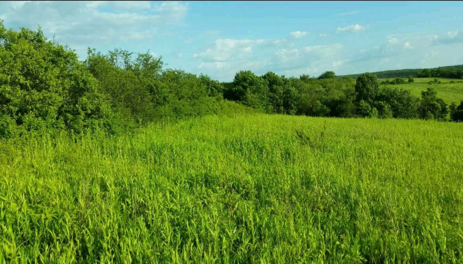 Prodaja, plac, 5870m², Sremčica, Beograd