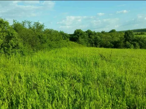 Prodaja, plac, 5870m², Sremčica, Beograd - image 2