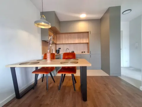 Rent, one bedroom apartment, 50m², Zagorič, Podgorica - image 4