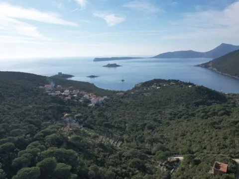 Prodaja, plac, 2152m², Luštica, Herceg Novi - image 12