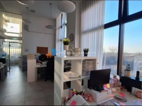 Rent, office space, 250m², Karaburma, Palilula Sve Podlokacije - image 8