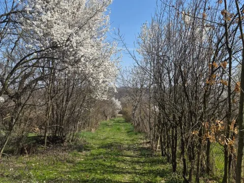 Prodaja, trosoban stan, 128m², Virovac, Mionica - image 15