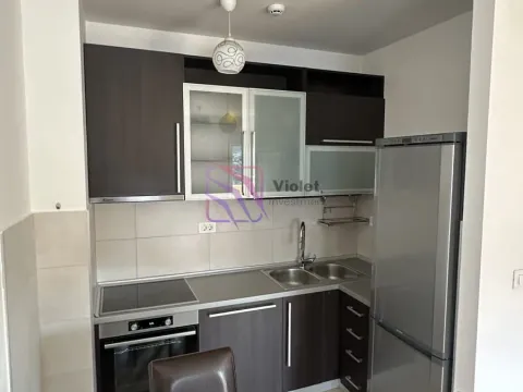 Izdavanje, jednosoban stan, 45m², City Kej, Podgorica - image 8