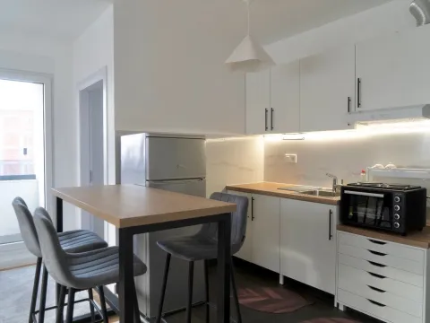 Izdavanje, dvosoban stan, 42m², Mirijevo Sve Podlokacije, Beograd - image 9