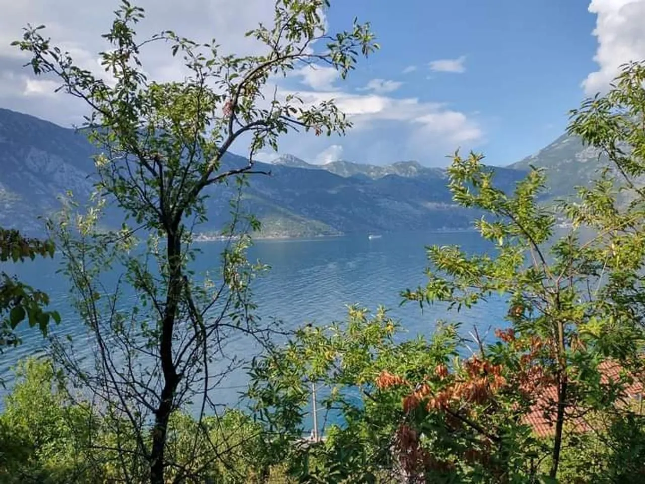 Prodaja, plac, 12433m², Koštanjica, Bar