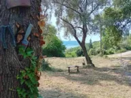 Prodaja, plac, 4800m², Herceg Novi, Crna Gora - image 4