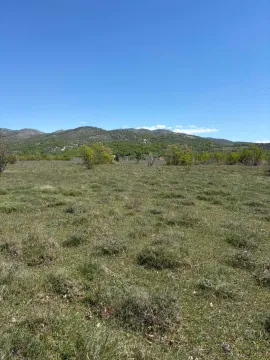 Pogled na prostrano zemljište sa niskim rastinjem i brdima u pozadini. - image 6
