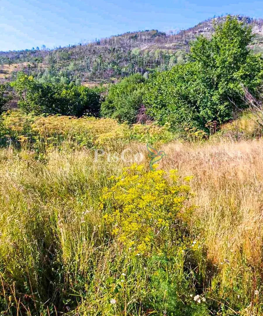 Prodaja, plac, 480000m², Nikšić, Crna Gora