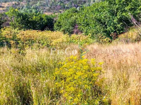 Prodaja, plac, 480000m², Nikšić, Crna Gora - image 3