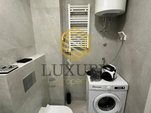 Izdavanje, jednosoban stan, 45m², Central Point, Podgorica - image 10