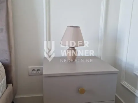 Izdavanje, dvosoban stan, 53m², Savski Venac, Beograd - image 7