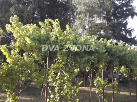 Prodaja, kuća, 38m², Irig, Srbija