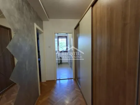 Rent, two bedroom apartment, 52m², Vračar Sve Podlokacije, Beograd - image 13