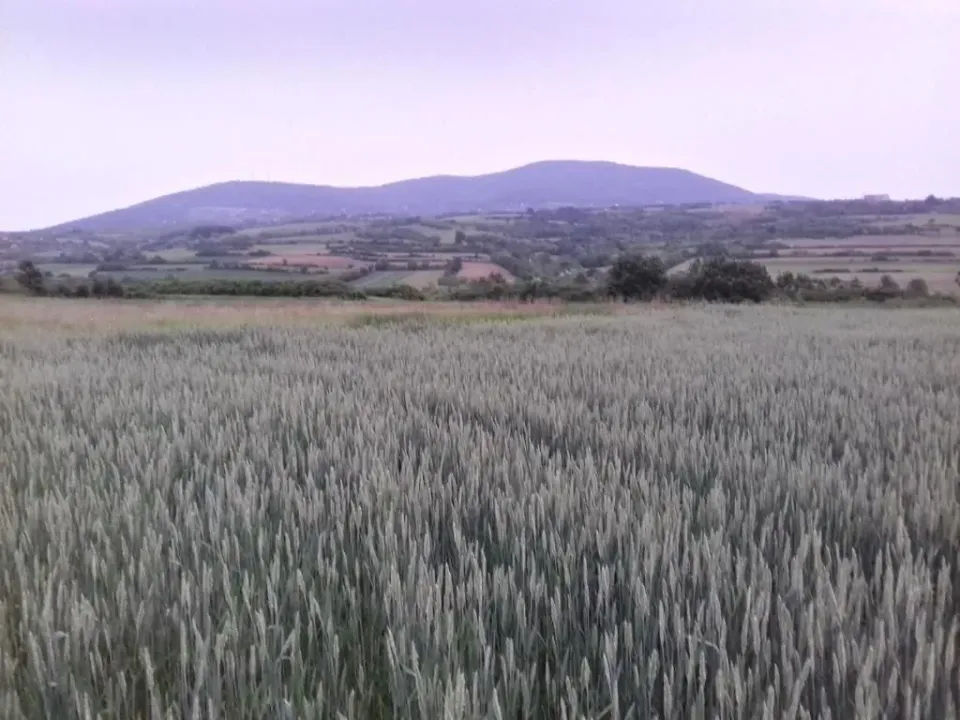 Prodaja, plac, 13000m², Nemenikuće, Sopot