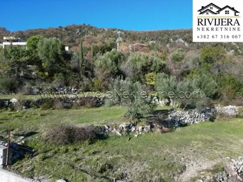 Prodaja, plac, 2430m², Trebesinj, Herceg Novi - image 2