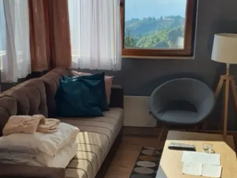 Sale, two bedroom apartment, 32m², Kopaonik, Srbija - image 8