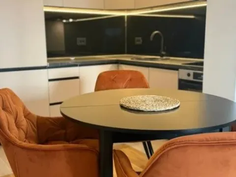 Izdavanje, jednosoban stan, 50m², Stari Aerodrom, Podgorica - image 7