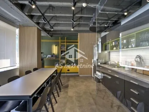 Izdavanje, poslovni prostor, 300m², Stari Grad, Beograd - image 11