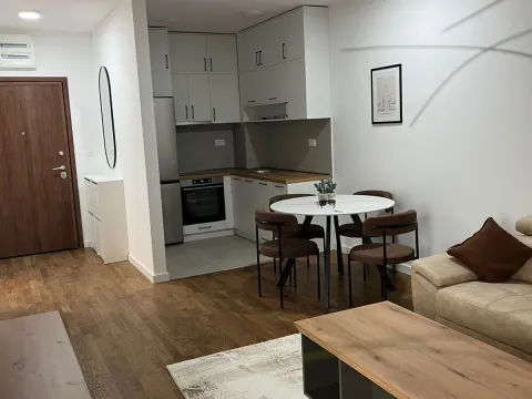 Rent, one bedroom apartment, 45m², Stari Aerodrom, Podgorica - image 2
