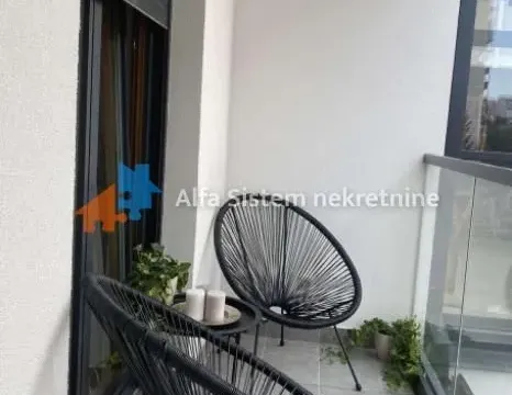 Izdavanje, dvosoban stan, 45m², Južni Bulevar, Vračar Sve Podlokacije - image 13