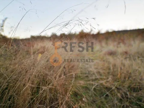 Prodaja, plac, 18000m², Danilovgrad, Crna Gora - image 13