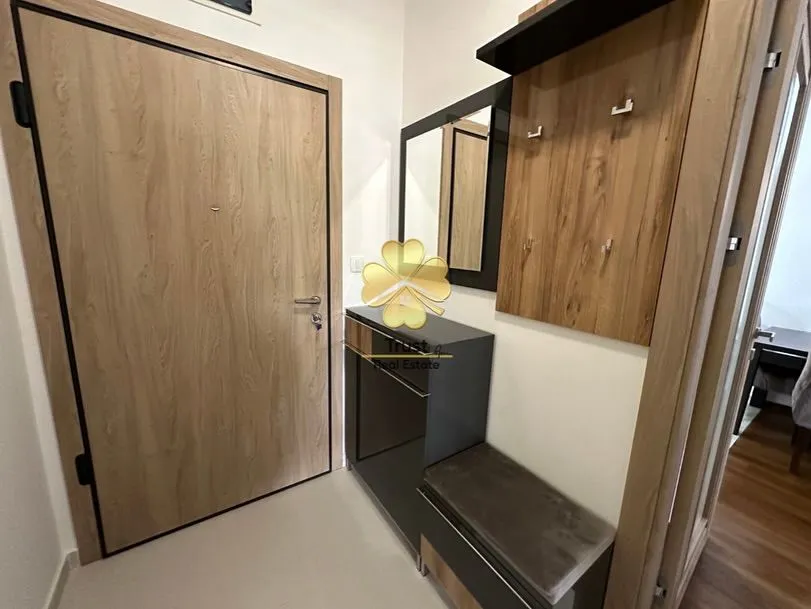 Rent, one bedroom apartment, 50m², Master Kvart, Podgorica
