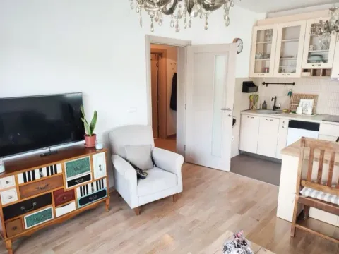 Prodaja, jednosoban stan, 43m², Dalmatinska ulica, Podgorica - image 9