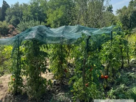 Prodaja, kuća, 71m², Sopot, Beograd - image 22