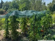 Prodaja, kuća, 71m², Sopot, Beograd - image 22