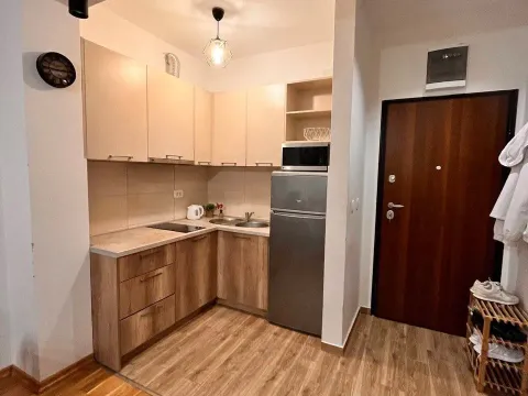 Prodaja, jednosoban stan, 40m², Velji Vinogradi, Budva - image 10